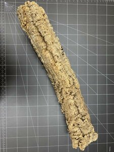 CC0207 キャノン型 コルク樹皮 62cm 送料込み 筒 チランジア コウモリラン DIY テラリウム レイアウト 洋蘭 爬虫類 エアプランツ 着生 　