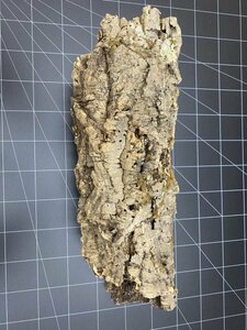 CC0204 キャノン型 コルク樹皮 42cm 送料込み 筒 チランジア コウモリラン DIY テラリウム レイアウト 洋蘭 爬虫類 エアプランツ 着生 　