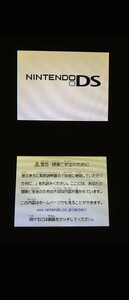DS lite 本体充電器付き ds二ノ国ゲーム1つ