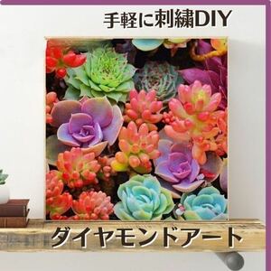 ダイヤモンドアート 多肉 初心者 刺繍キット レジン 絵画 DIY ハンドメイド