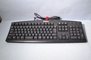 DELL*PS/2 keyboard *SK-8110