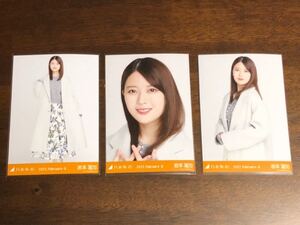 乃木坂46 生写真 岩本蓮加 コンプ