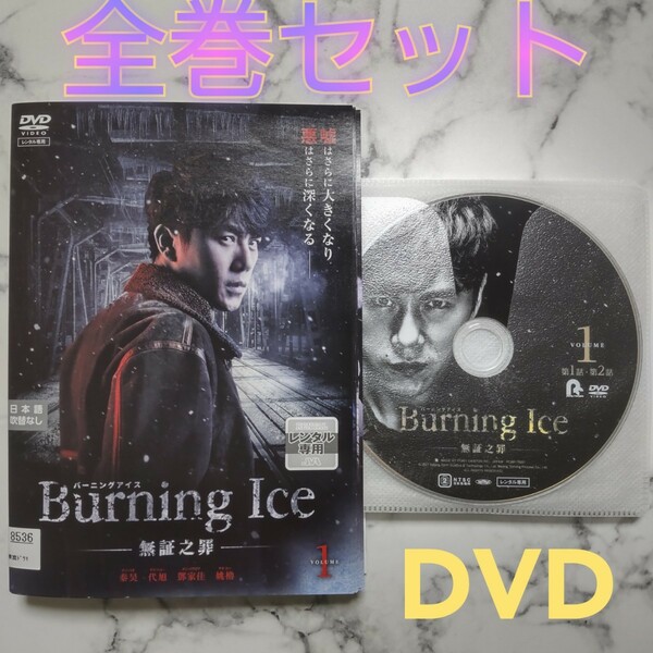 チン・ハオ★ダイ・シュー★【Burning Ice バーニング・アイス -無証之罪-】★レンタル落ちDVD★全巻セット