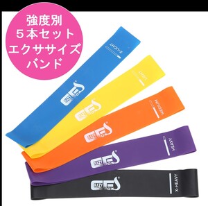 トレーニングチューブ エクササイズバンド 強度別5本セット