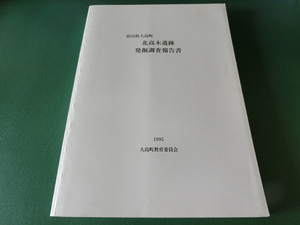 富山県大島町 北高木遺跡発掘調査報告書