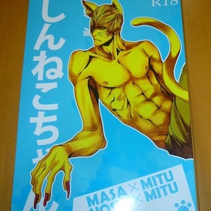 送料込!!【しんねこちゃん】柔道チョップ/秋蔵・伊達政宗x石田三成/大谷吉継x石田三成/政三吉三/中古本judo chop