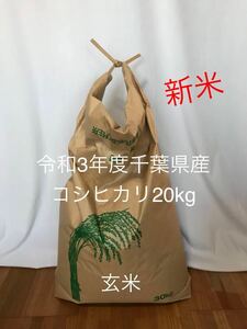 新米　お米　令和3年度千葉県産　コシヒカリ　20kg 玄米 気持ち増量(500g前後)サービス中です。