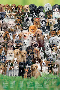 ■『キース・キンバーリン　DOGS』のポスター■