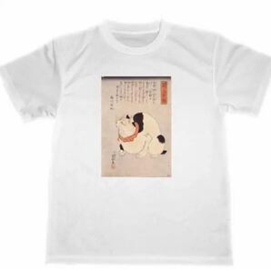 鼠よけの猫 ドライTシャツ 歌川国芳 浮世絵 猫 ネコ グッズ