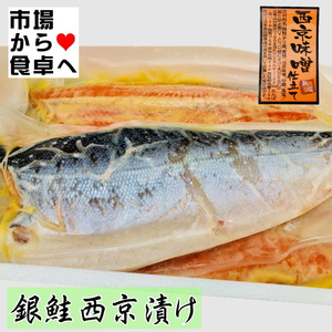 銀鮭 西京漬け 10kg（8枚前後）【業務用・脂あります】身が厚い銀鮭使用、熟成みそ仕立て【冷凍便】②