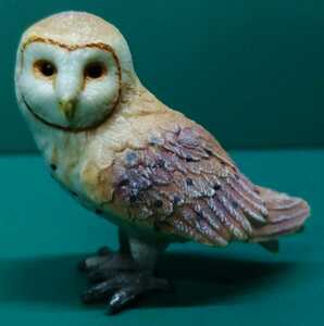 メンフクロウ　BARN OWL コレクタ　COLLECTA 猛禽類　梟　ふくろう　フィギュア