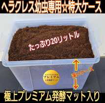 大型ケース付き☆プレミアム発酵マット20L☆カブトムシ幼虫を入れるだけ！でかいケースなのでビック成虫羽化できます！特殊フィルター付き_画像3