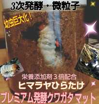 クワガタ幼虫の個別管理に便利！プリンカップ入りプレミアム3次発酵マット☆微粒子で初令もモリモリ食べます！特殊アミノ酸、キトサン配合_画像8