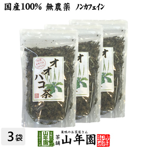 健康茶 オオバコ茶 100g×3袋セット 国産100% 無農薬 ノンカフェイン 宮崎県産 送料無料