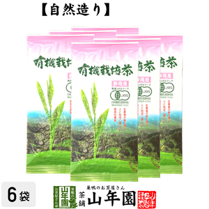 日本茶 お茶 茶葉 静岡産 有機栽培茶 100g×6袋セット 送料無料
