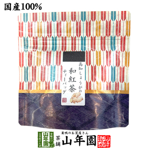 お茶 日本茶 紅茶 国産100% 高知しょうがの和紅茶 2g×5パック 送料無料