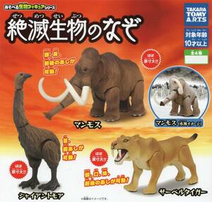 ♯　(台紙のみ)　あそべる生物フィギュアシリーズ　絶滅生物のなぞ　(台紙/POP)　非売品