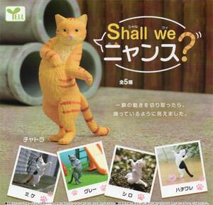 ♯　(台紙のみ)　ガチャ　shall we　ニャンス?　(台紙/POP)　非売品