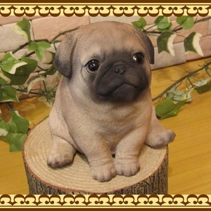  dog. ornament Pug real . dog. ornament .... baby dog A type .... fi gear dog. objet d'art gardening front door ceramics 