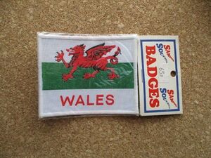 80s ウェールズWalesビンテージ フェルト ワッペン/グレートブリテン北アイルランド連合王国イギリス赤い竜アイリッシュ紋章エンブレムA