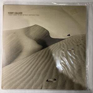 Terry Callier : I Don't Want To See Myself( Without You ) 12'' X 2 // Deep House