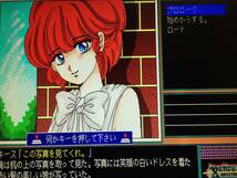 アリスソフト　ランス　光をもとめて　Rance　PC-9801版（5インチFD4枚、カタログ、説明書。起動確認済）　送料込み_画像9