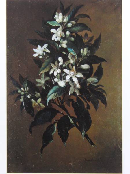 B. Espinose, Branche d'oranger, Extrêmement rare, Neuf avec cadre, En bonne condition, Peinture, Peinture à l'huile, Nature morte