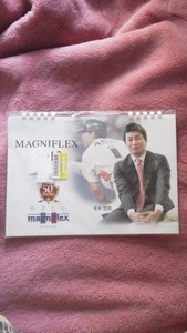 非売品 マニフレックス magniflex ヤクルト スワローズ 青木宣親 2012年 カレンダー