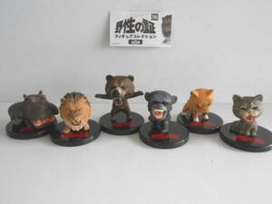 ♯Kwi30HZ野生の証フィギュアコレクション全6種ライオン動物カバ♂TAKARATOMYARTS♀200円〓017294_c