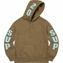 Supreme Team Chenille Hooded Sweatshirt　Mサイズ　_画像1