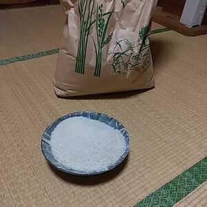 栃木産米コシヒカリ10kg