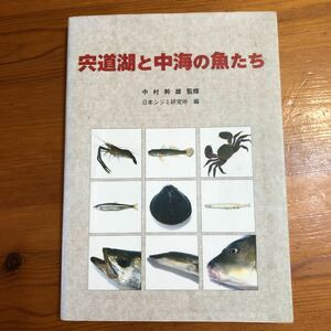 宍道湖と中海の魚たち／中村幹雄 (著者) 日本シジミ研究所編 (著者)