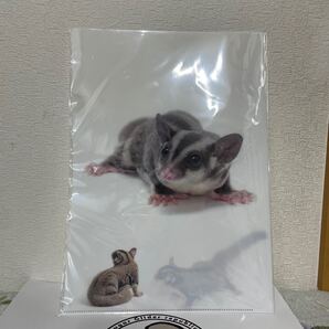クリアファイル