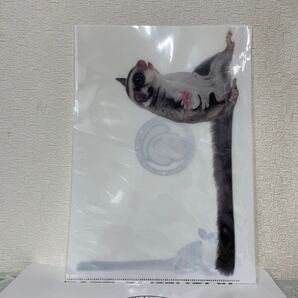 クリアファイル C