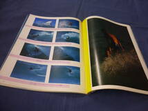 ⑪「サーフ・マガジン/SURF MAGAZINE」１９８１年１２月号 　善家誠　サーフィン　サーファー_画像7