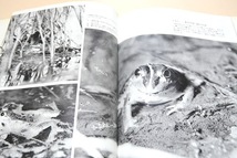 日本の蛙・種村ひろし写真集/オタマジャクシの生活を終えて蛙になる様子が順を追って記録されている/目で見る蛙の入門書としてお勧めしたい_画像7