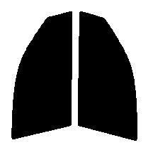 ライトスモーク　50% 運転席、助手席　エアトレック　CU2W・CU4W　カット済みフィルム
