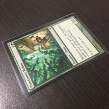 MTG レアカード Vinelasher Kudzu_画像3