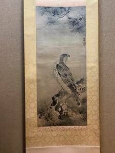 （　雪村周継　）　雪村　【　松　鷹　図　】　東京国立博物館所蔵　重要文化財　復刻謹製　　紙本掛軸　　箱有り