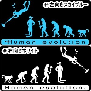 ★千円以上送料0★《SD09》15×7.6cm【人類の進化 シュノーケリング編】スキューバダイビング、潜水、スクーバ、沖縄ステッカー(3)