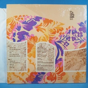 ■シュリンク!ACID FOLK,SOFT POP PSYCHEDELIC!1969年!★CAROL STROMME/SOFT SOUND★PETEレコ!オリジナル名盤■の画像2