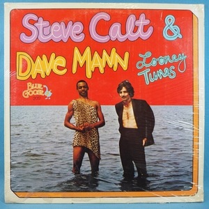 ■未開封盤! BLUE GOOSEレコ! CUT無し! ★STEVE CALT&DAVE MANN/LOONEY TUNES★オリジナル名盤■