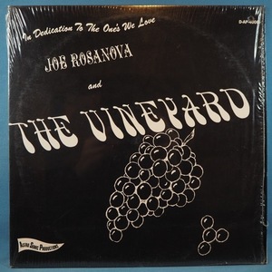 ■シュリンク美品! ACID ARCHIVES!★JOE ROSANOVA&VINEYARD/DEDICATION★1968年! オリジナル名盤■