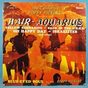 ■OH HAPPY DAYカバー他! ★CALIFORNIA POPPY PICKERS/HAIR★オリジナル名盤■