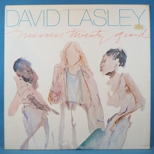 ■歌詞内袋付き!★DAVID LASLEY/MISSIN TWENTY GRAND★送料無料(条件有り)３千枚＋出品中!★オリジ名盤■