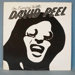 ■７５年ライブ! ORANGEレコ!★DAVID PEEL/AN EVENING WITH★送料無料(条件有り)多数出品中!★オリジナル名盤■