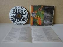 used★国内盤★CD / ブルース・エクスプロージョン BLUES EXPLOSION ダメージ /ジョン・スペンサー JAMES CHANCE【ボートラ/ブックレット】_画像2