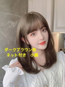 新品 ウィッグ フルウィッグ レディースセミロング ダークブラウン ネット付き 小顔