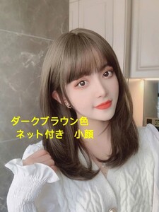 新品 ウィッグ フルウィッグ レディースセミロング ダークブラウン ネット付き 小顔