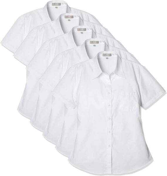 [ブランシェ] レディース ブラウス 5枚セット 【 透けない シャツ 】 半袖 白 レディースシャツ 5SETLDSH 01 ホワイト 半袖5枚 9号 Slim